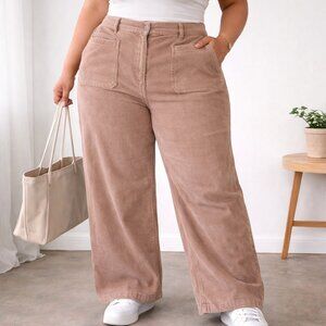 $80 Retail American Eagle Outfitters Tan Corduroy Straight Leg Pants Size 18